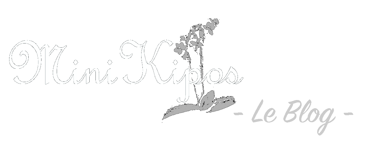 MiniKipos Le Blog